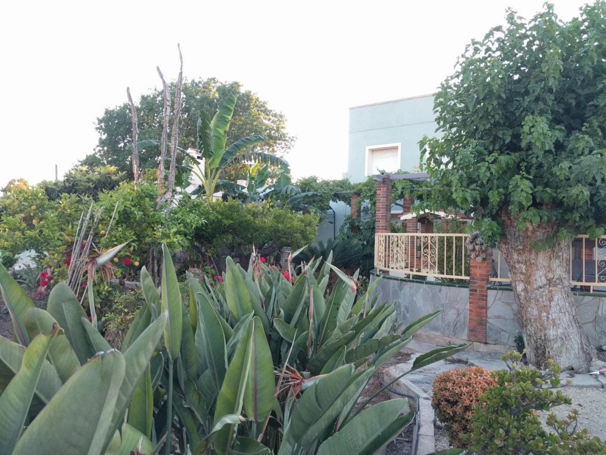 Villa Casa Baleso Deltebre Exterior foto